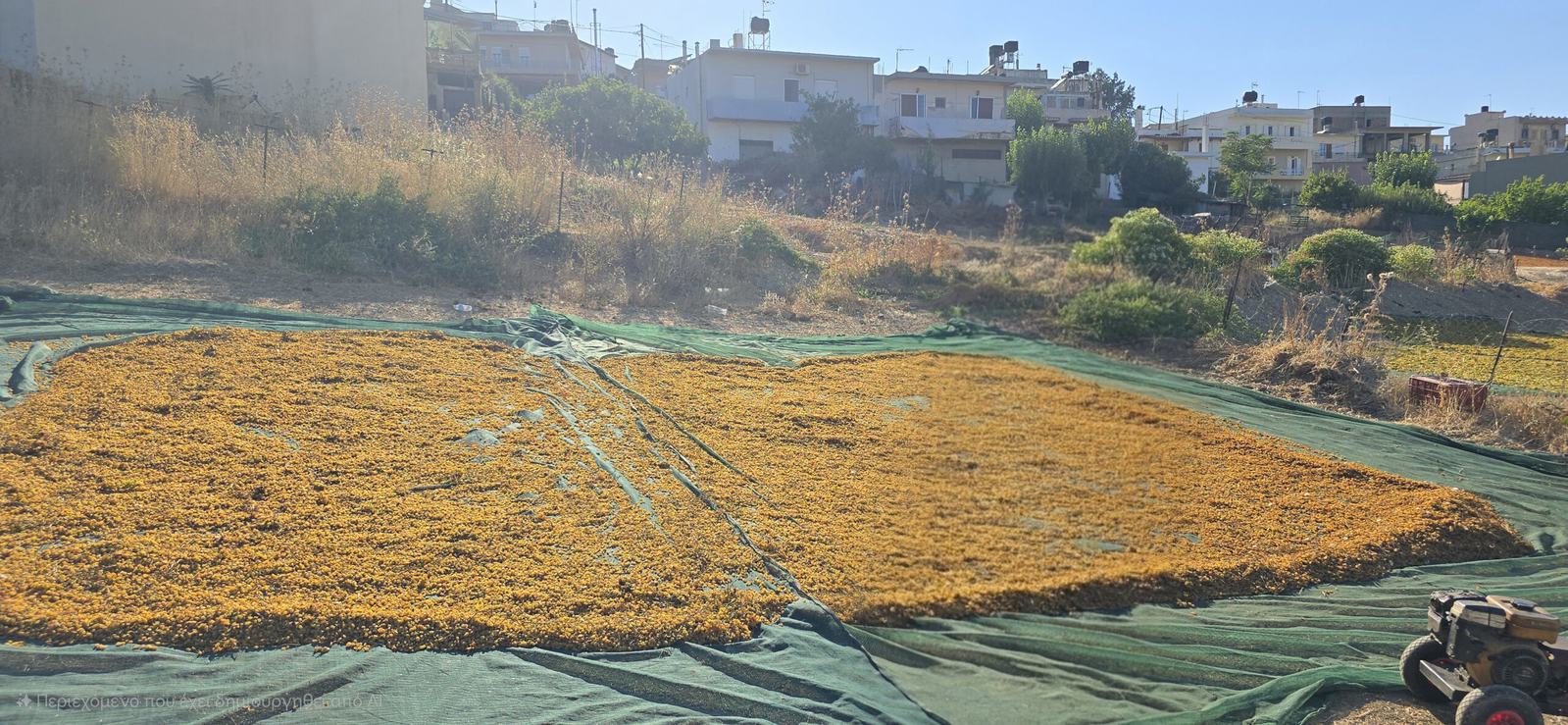 Τοπίο χωριού Προφήτης Ηλίας στους λόφους Ηρακλείου, Κρήτη — έδρα των αμπελώνων Χρυσή Λιχουδιά
